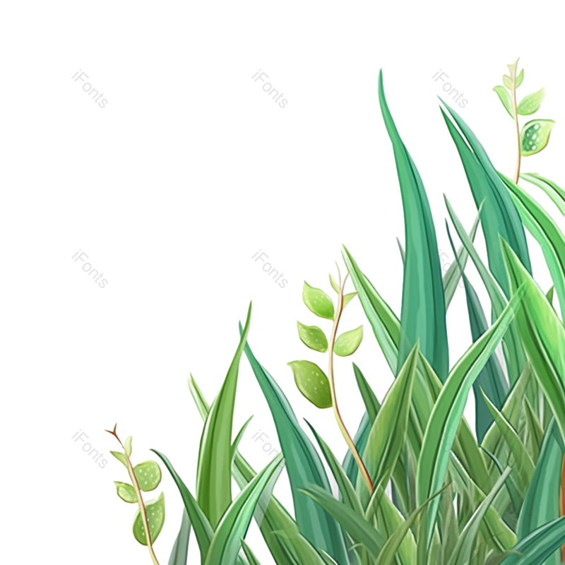 小满图片,麦穗元素,草地PNG,绿色免抠素材